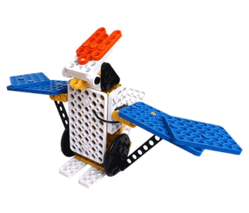 bird